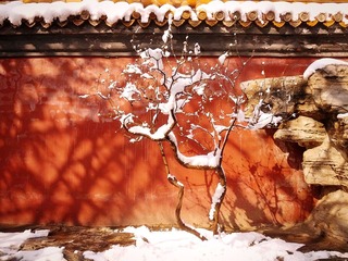 IMG_20130320_094848.jpg
