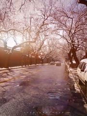 IMG_20130320_101407.jpg