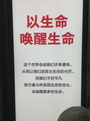 431595