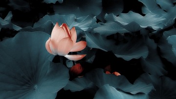 2292