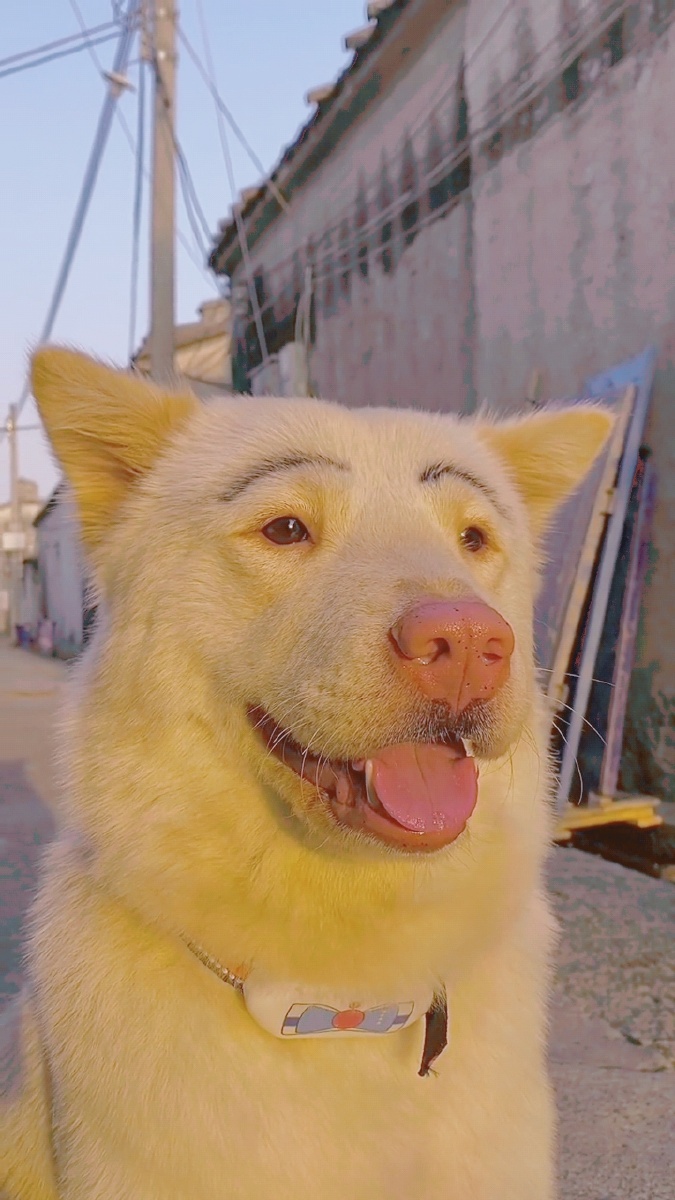 全网都在寻找梅尼耶!