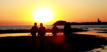 IMG_1784.jpg