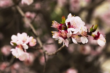_MG_2808.jpg