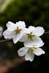 _MG_2878.jpg