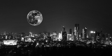 IMG_0722.jpg