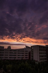 _MG_3895 0.jpg