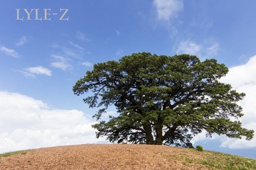 _MG_0218.jpg