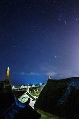 IMG_8520up.jpg