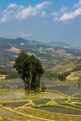 IMG_9333.jpg