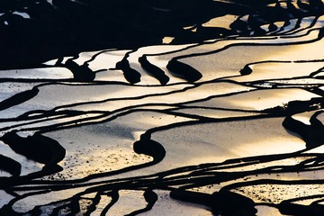 IMG_9278.jpg
