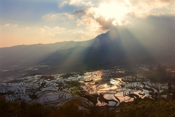 IMG_9294.jpg