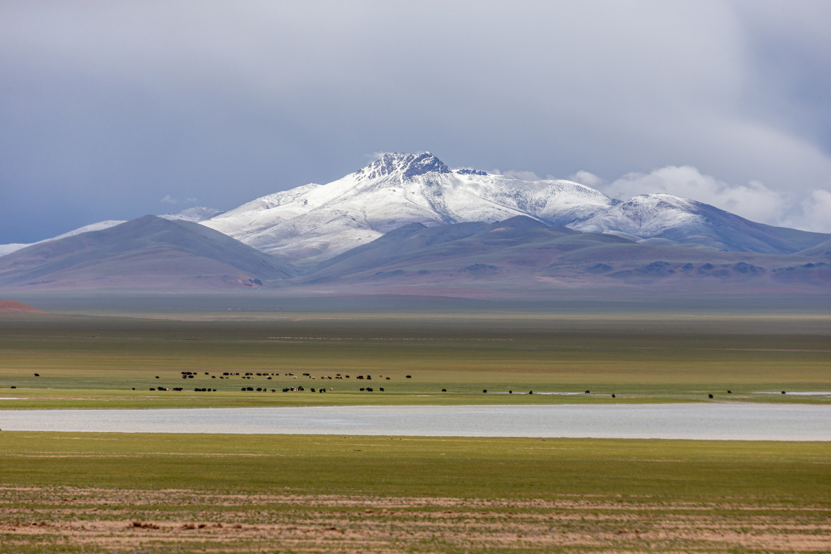 尼玛,羌塘高原风光 - 游荡的山 - 图虫