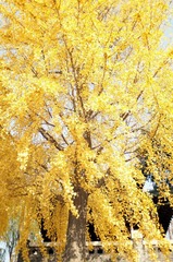 DSC01415.jpg