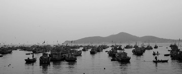 DSC01240.jpg