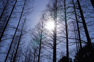 DSC02689.JPG