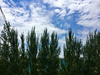 5783AD0B-018C-4DC1-84AD-0A8B7AC1A19E/L0/001