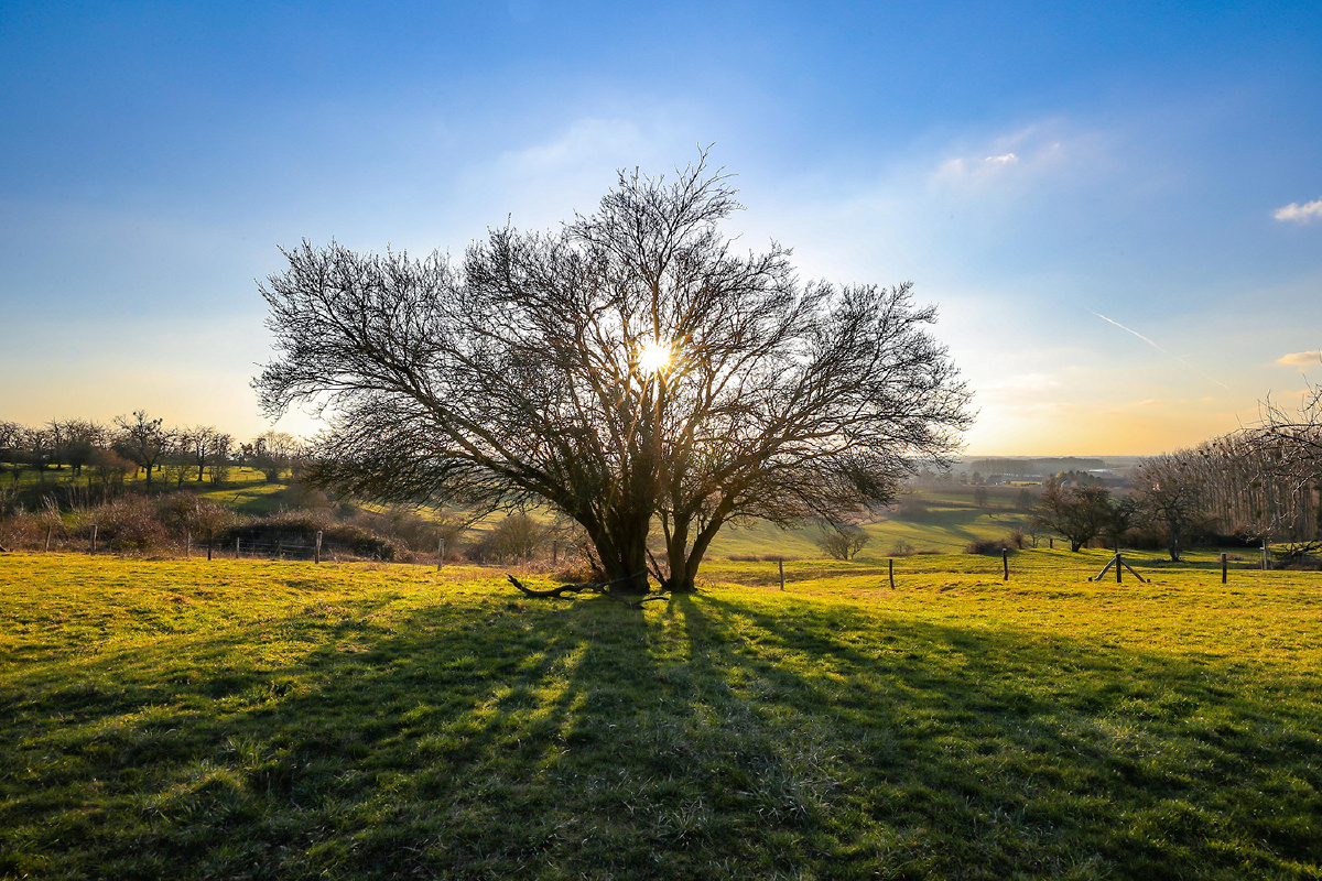 风景很美很美大自然和谐