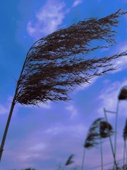 A7E58569-C36D-422A-BF87-AB34F81F5685/L0/001