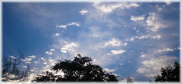 410A6A99-2873-4C9D-8C82-9A751FE8D033/L0/001