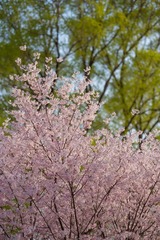 30F3B6B8-80BB-4109-A0B7-8884A5AE10CB/L0/001