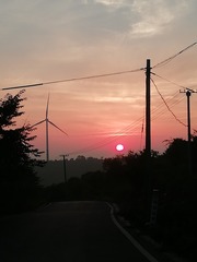 1980761