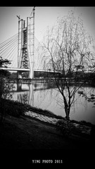 L1020132.jpg