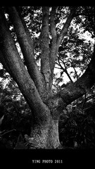 L1020133.jpg