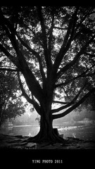 L1020147.jpg