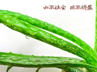 60C99BA5-7F91-4C6B-BD57-CD6F470FC59A/L0/001