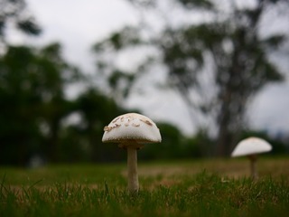 972080