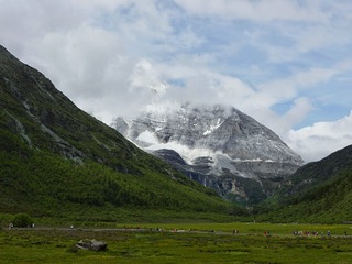 239497