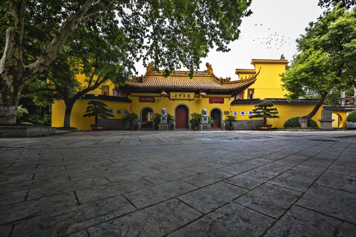 初秋光影中的鹫峰禅寺 白鹭洲公园(南京) - 树影m马洪伟 - 图虫