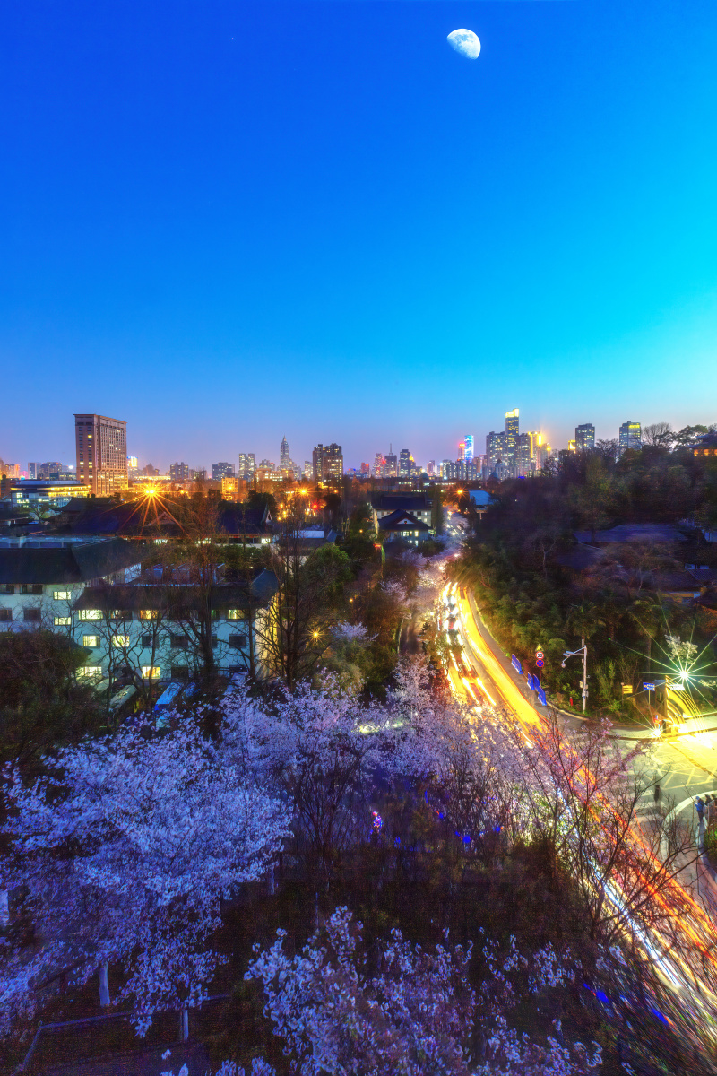 夜色中的鸡鸣寺樱花大道南京