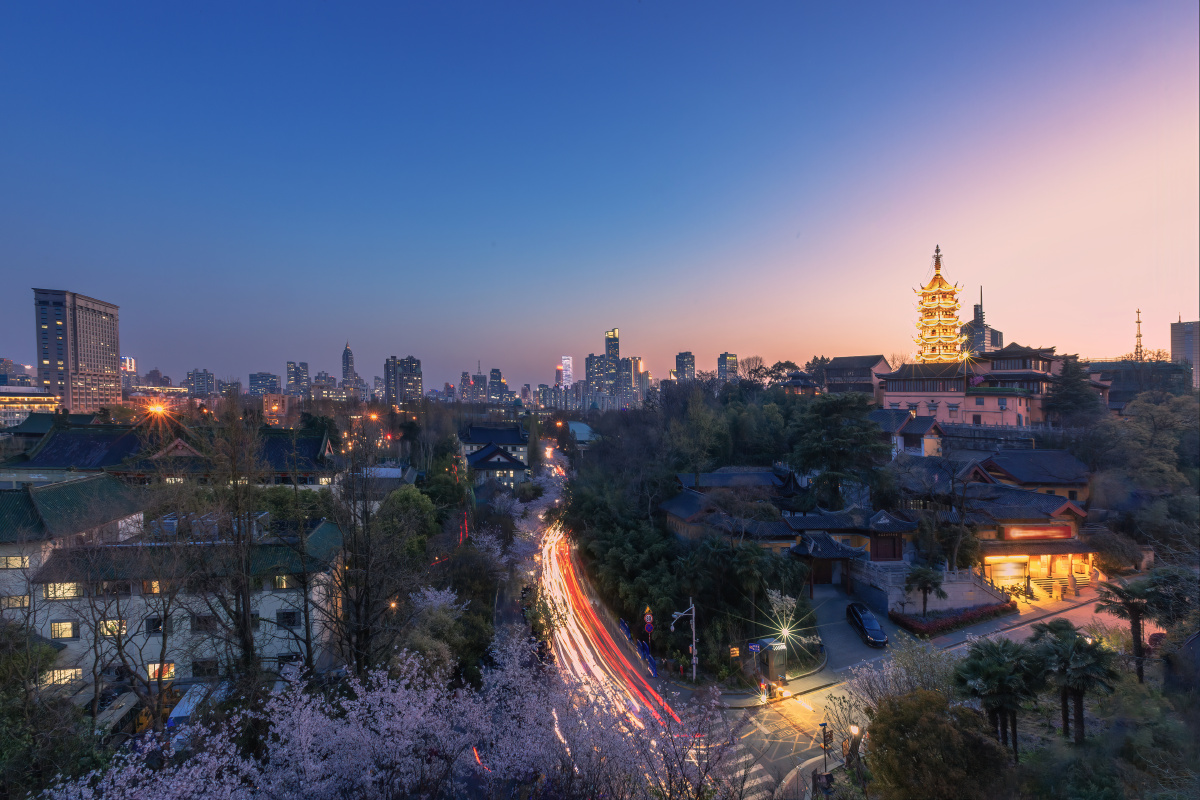 樱花时节的城市夜色3鸡鸣寺南京