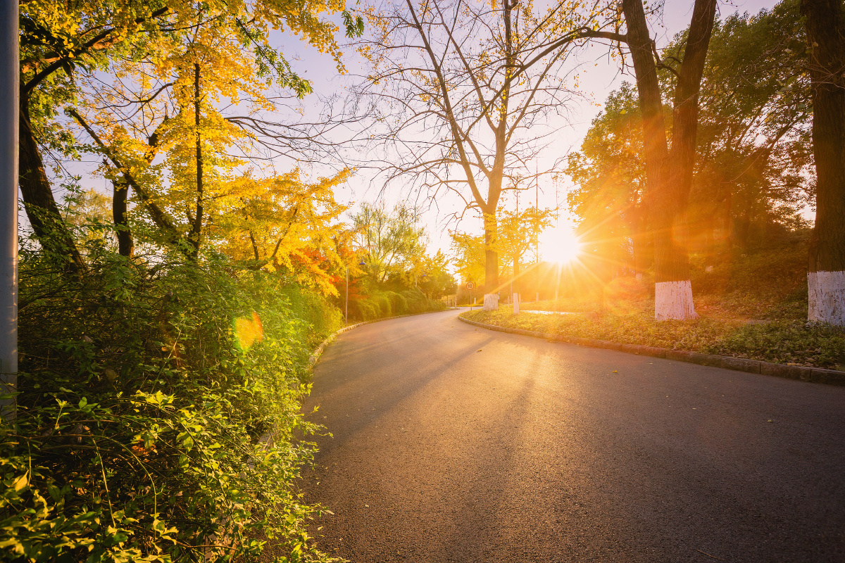 秋日傍晚阳光里的绿博园 南京 - 树影m马洪伟 - 图虫