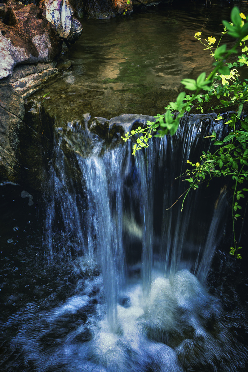 午后园林里的溪流瀑布 瞻园(南京) - 树影m马洪伟 - 图虫