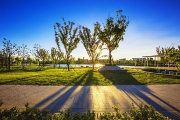 盛夏逆光里的九龙湖公园+南京