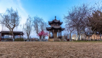 年初二的邹鲁碑亭+莫愁湖公园（南京）