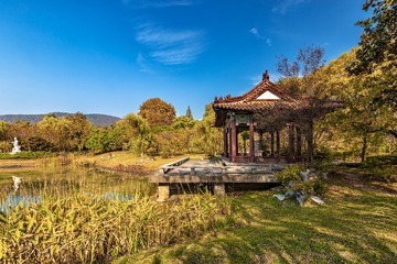 秋日光影中的梅花山+南京