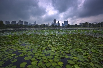 秋日细雨里的公园光影+南京国际友谊公园