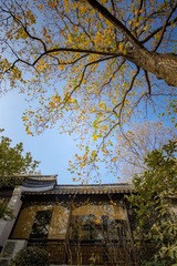 秋染崇正书院+南京