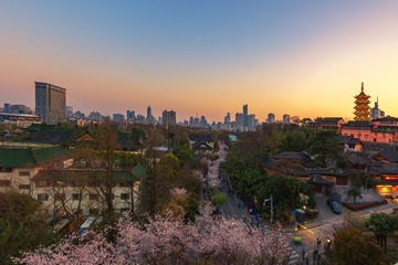 落日前的鸡鸣寺樱花大道+南京