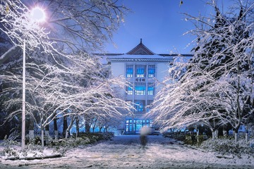 雪夜+南京林业大学（南京）