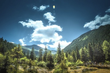 黄龙