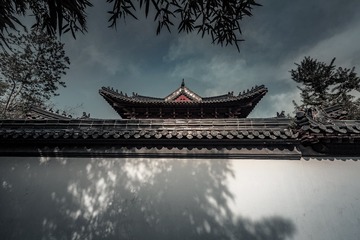 树影+南京宝船遗址公园