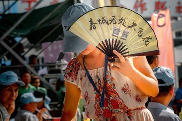 春城无处不飞花