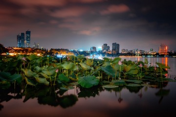 莫愁湖夜色