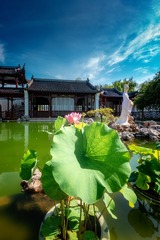 莫愁女新妆
