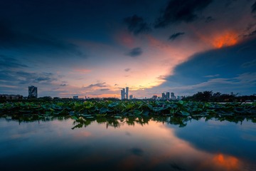 莫愁湖晚景