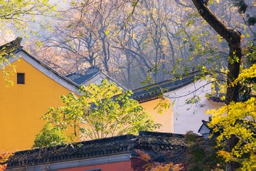秋染禅寺+栖霞寺（南京）